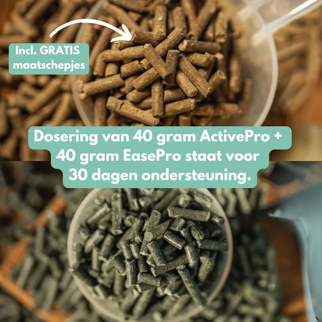 Nieuw! Relax & Rebuild Bundel: EasePro + ActivePro