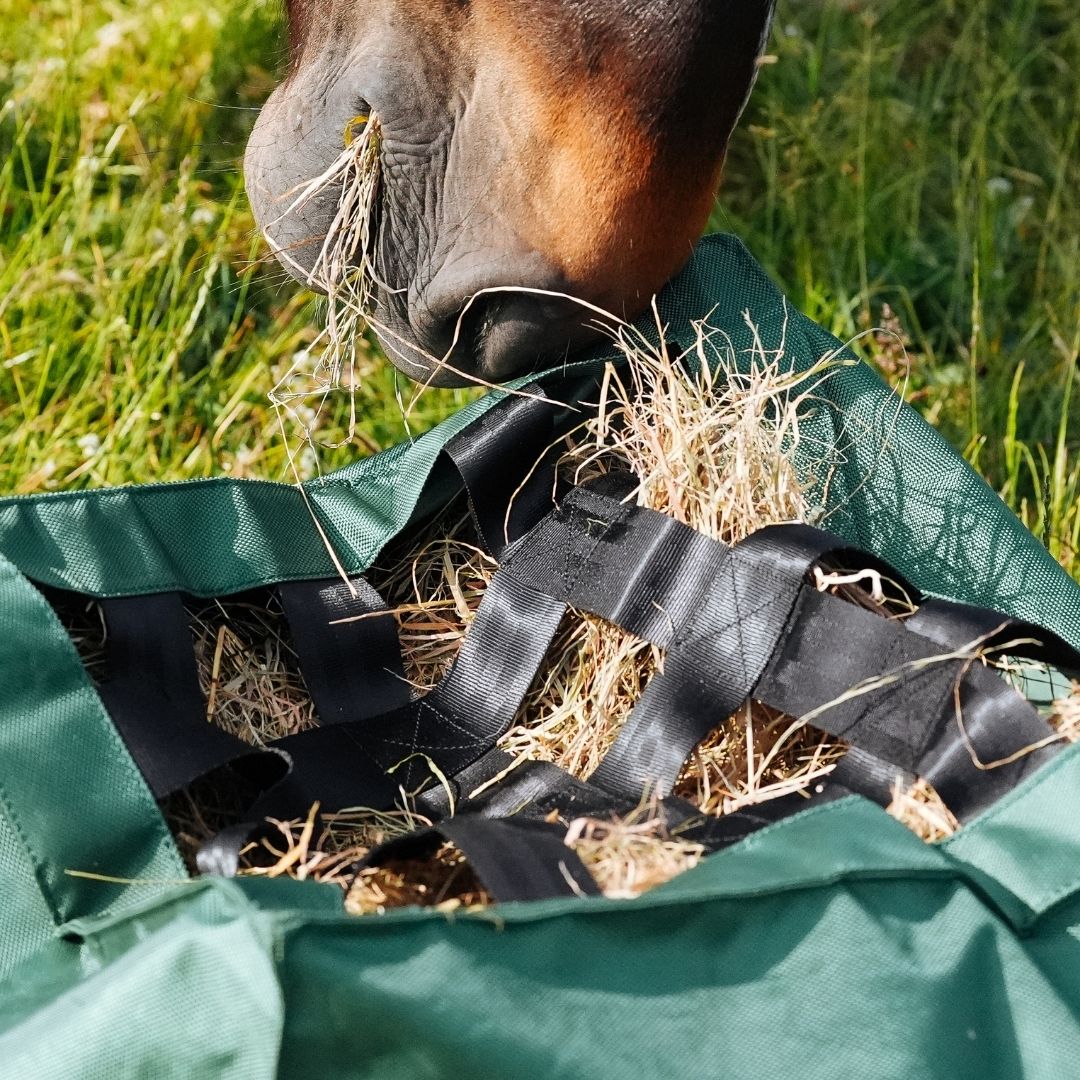 DressagePro Collection