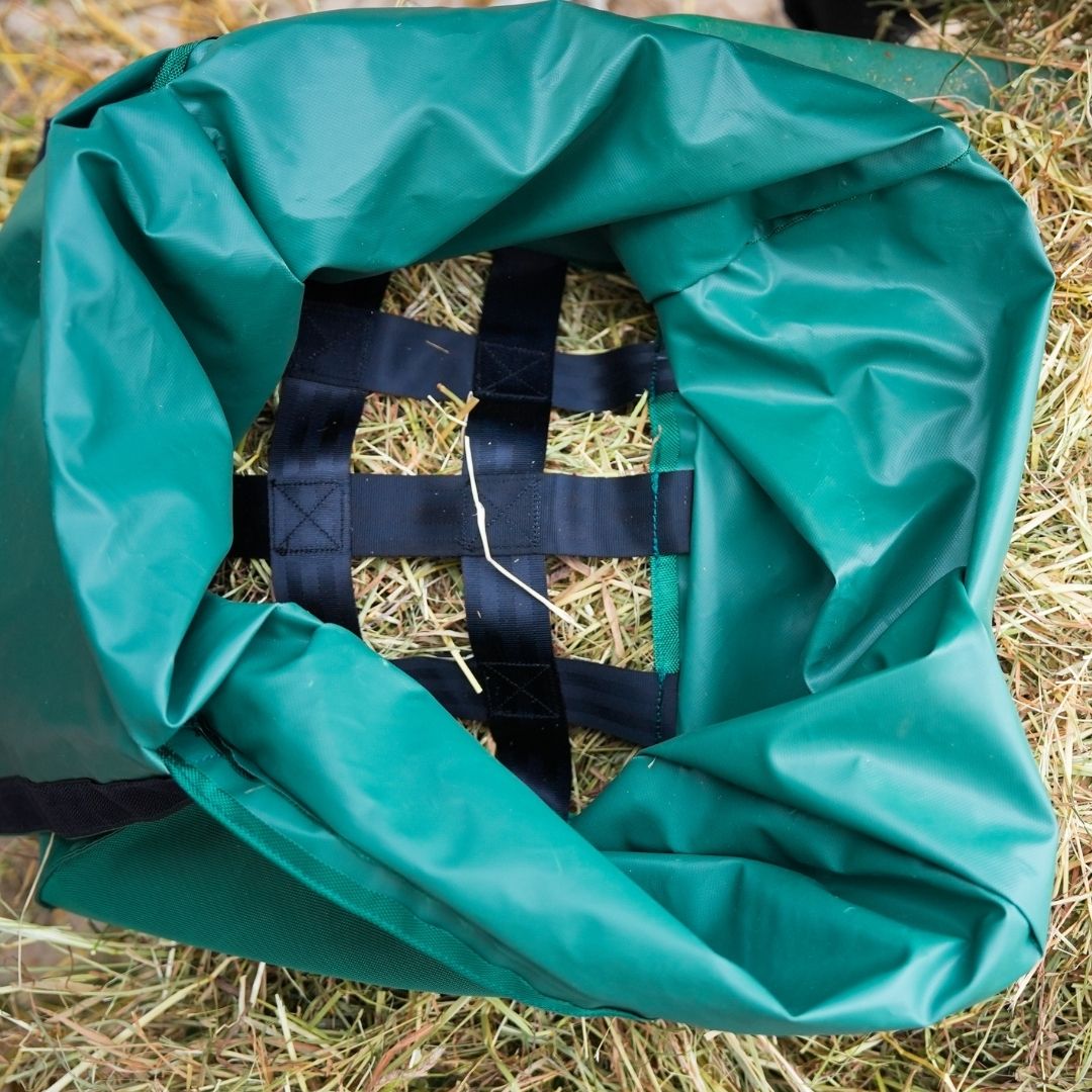 DressagePro Collection
