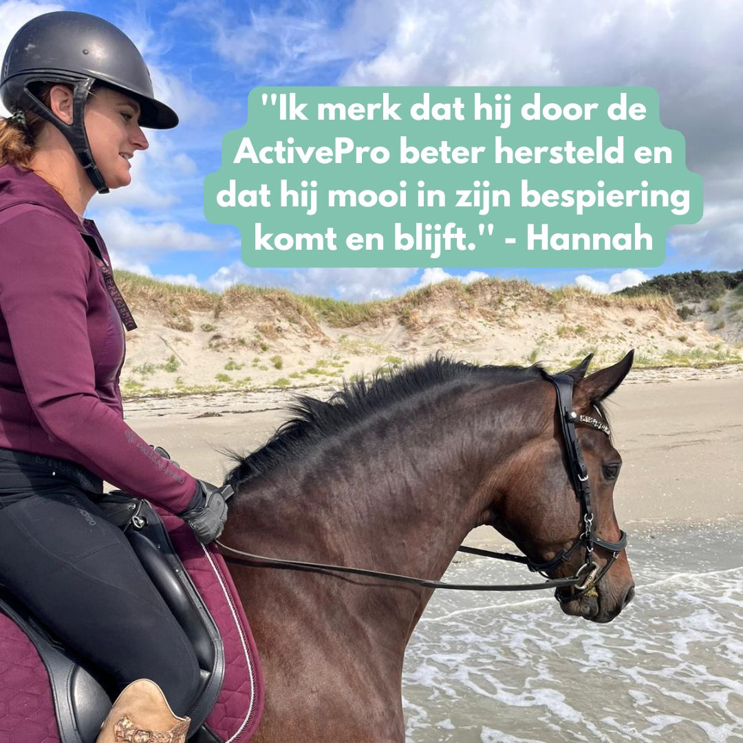 Nieuw! Relax & Rebuild Bundel: EasePro + ActivePro