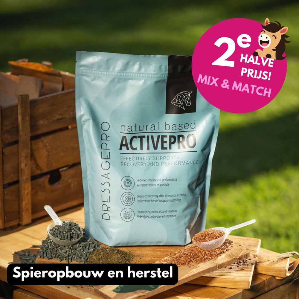 ActivePro