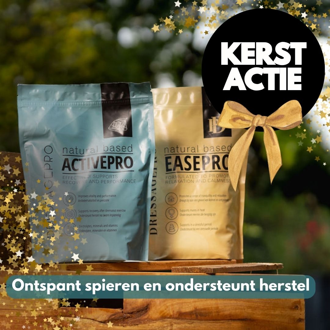 Relax & Rebuild Bundel: EasePro + ActivePro