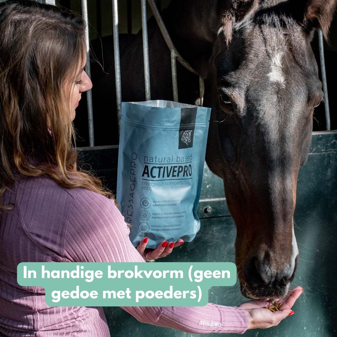 *NEW* Sports Bundle: MotionPro + ActivePro