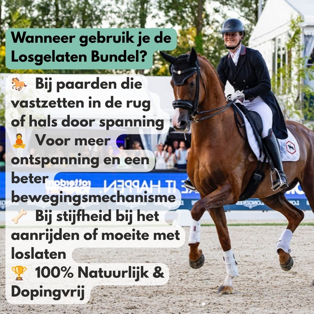 
                  
                    Losgelaten Bundel: EasePro + MotionPro
                  
                
