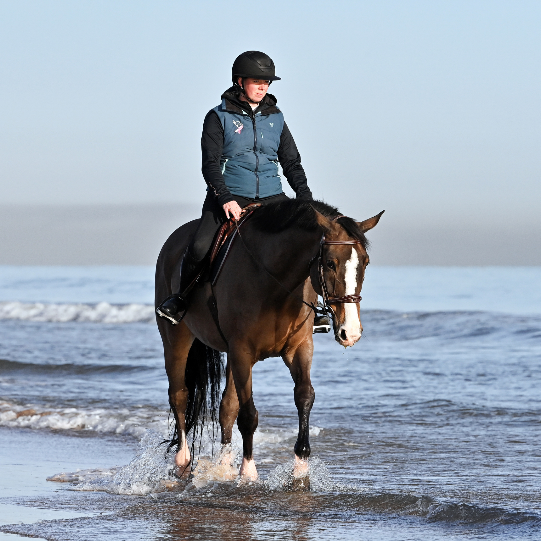 DressagePro Collection