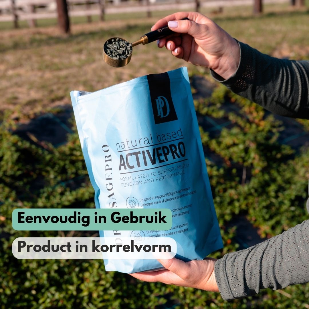 ActivePro | Bouw spierkracht op, herstel sneller