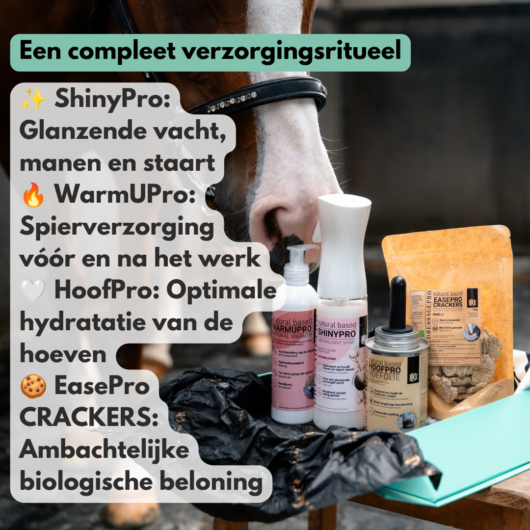 NIEUW!! Care Collection Box - Alles voor de verzorging van je paard in één luxe box