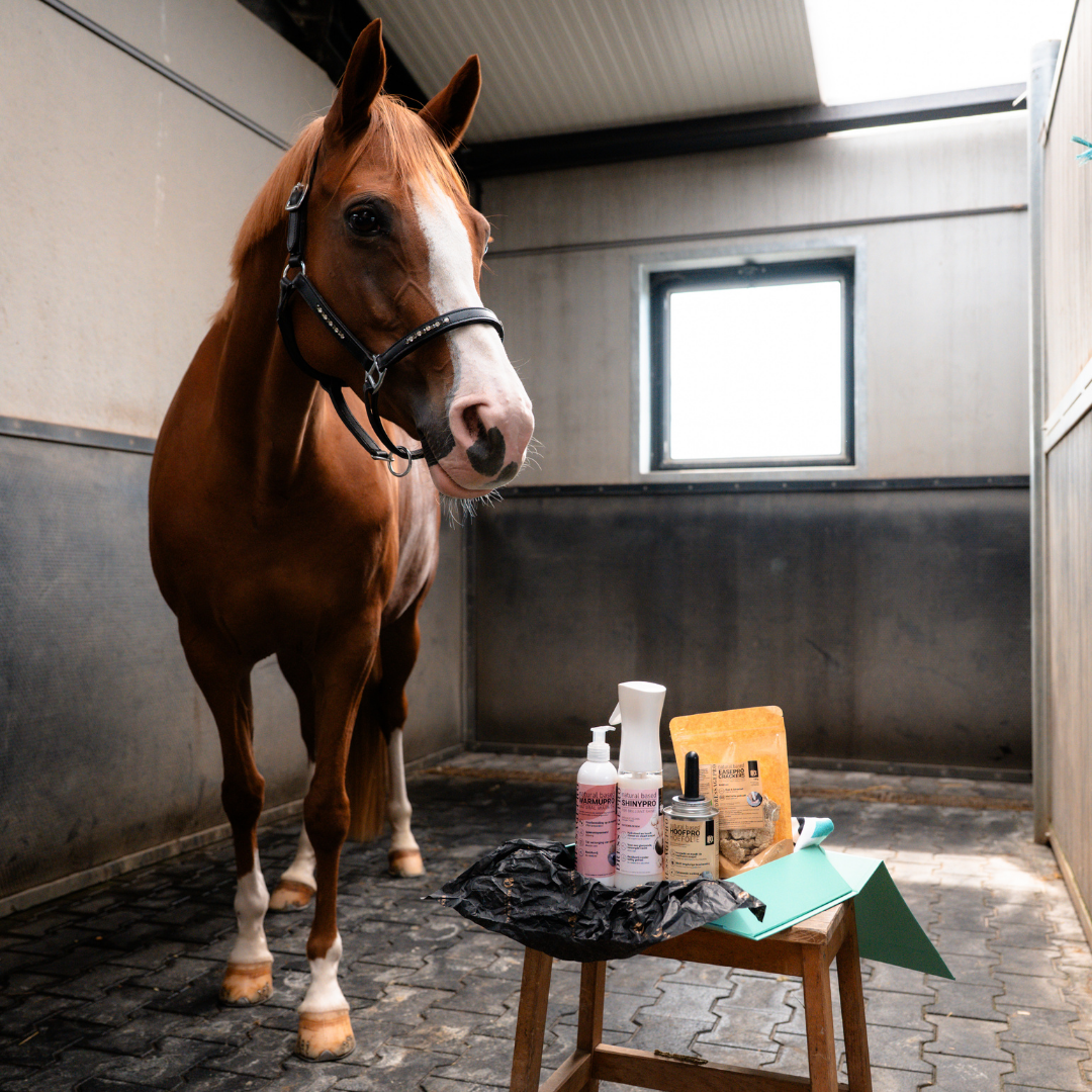 DressagePro Collection