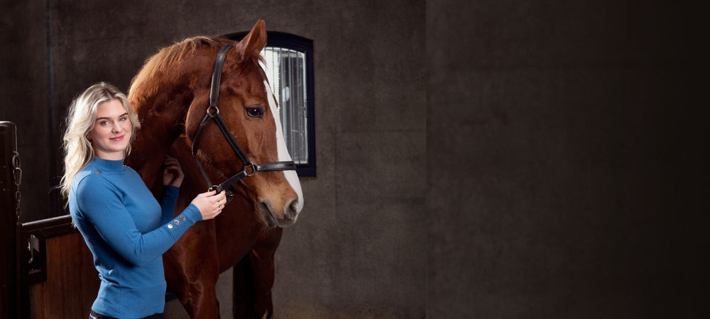 DressagePro Collection