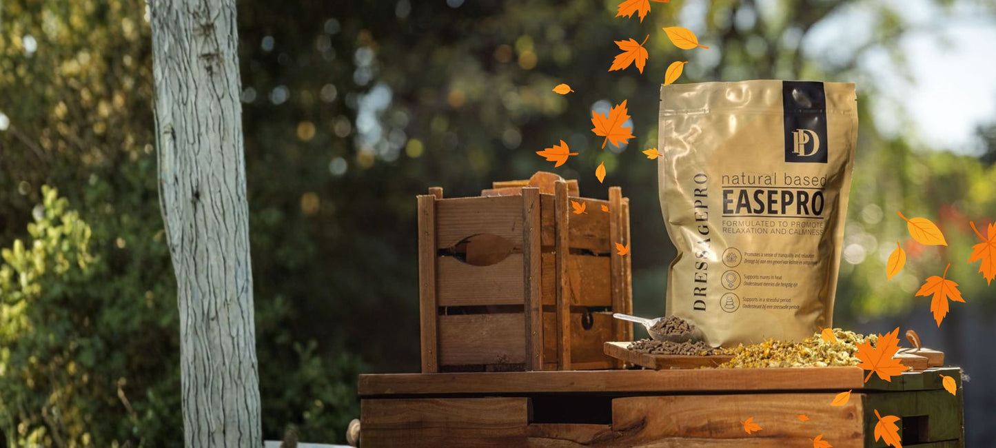 DressagePro Collection