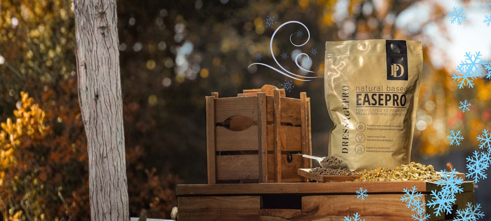 DressagePro Collection