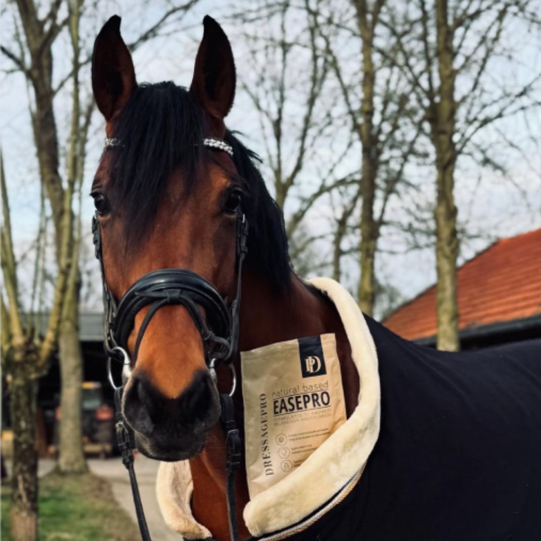 DressagePro Collection
