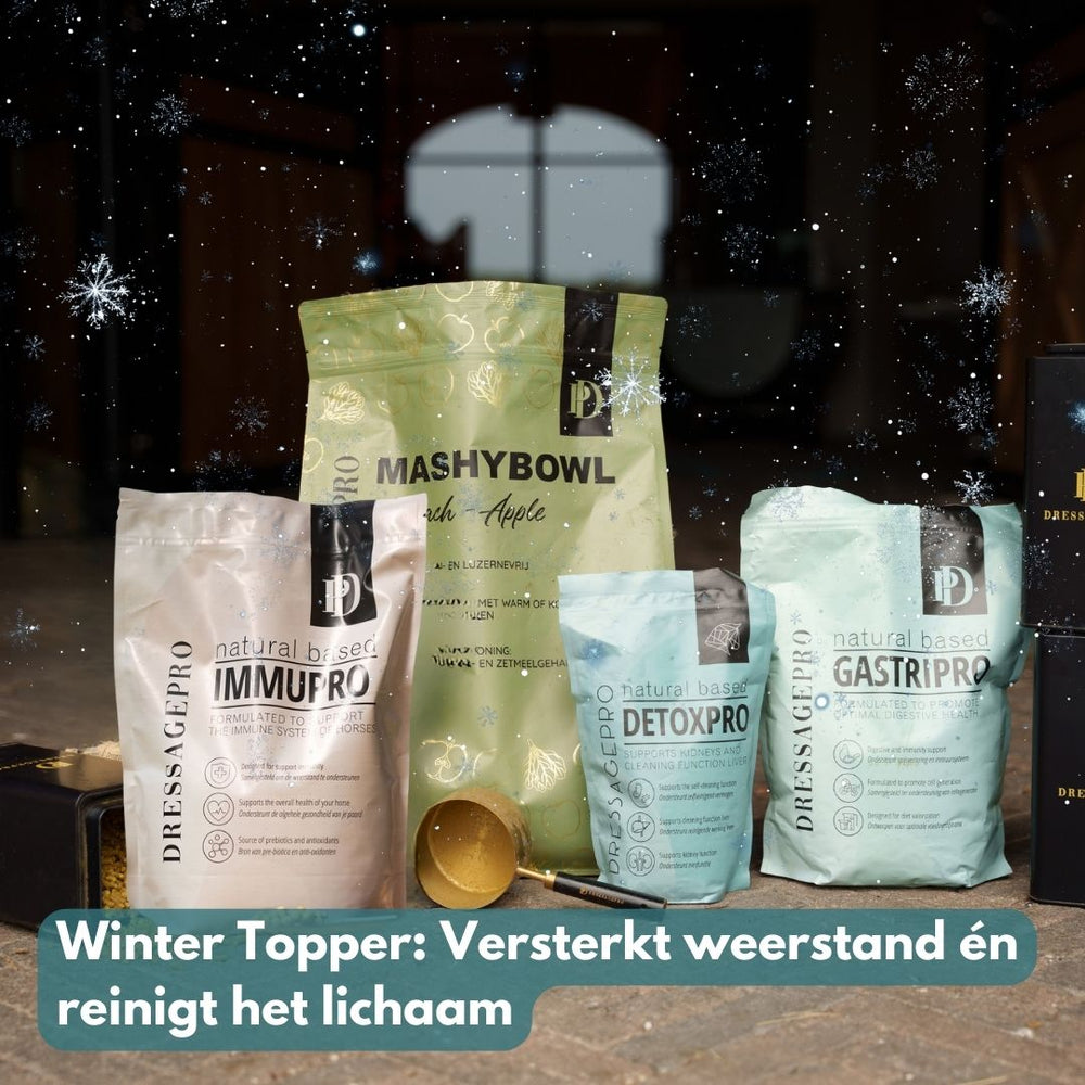 Winter Weerstand Bundel: ImmuPro + GastriPro + DetoxPro + MashyBowl