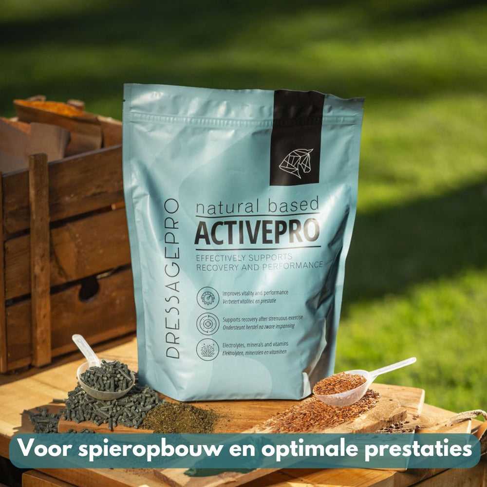 ActivePro