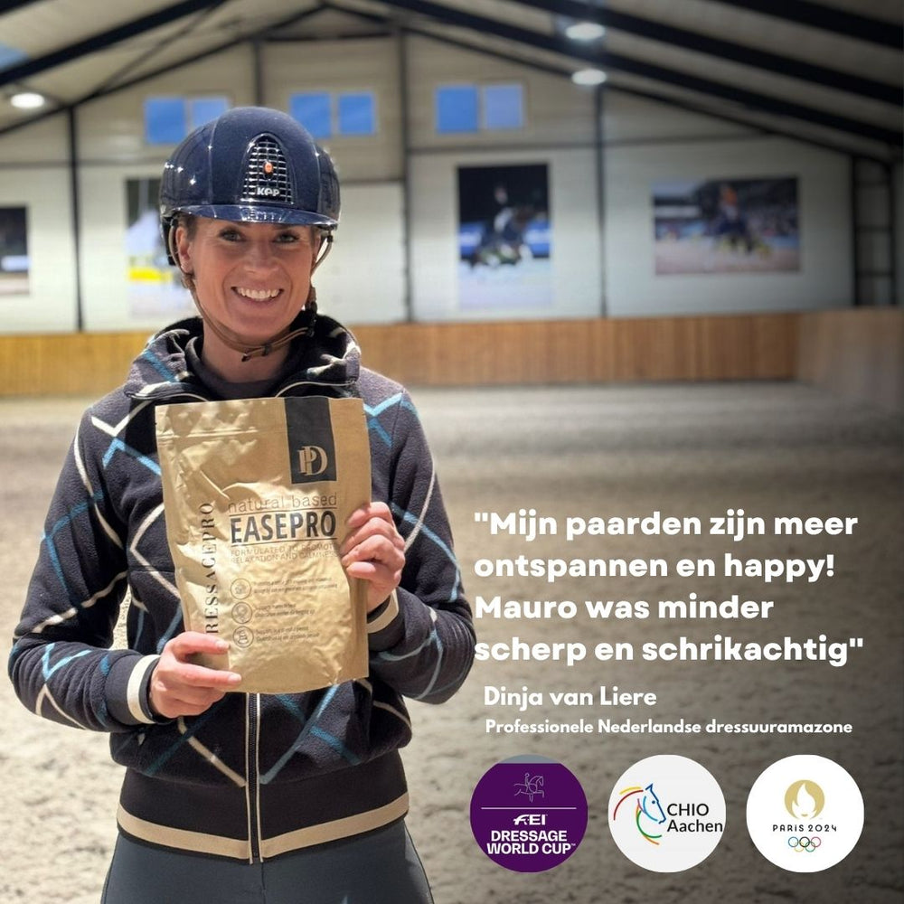 
                  
                    EasePro | Rust in het hoofd, ontspanning in het lichaam
                  
                