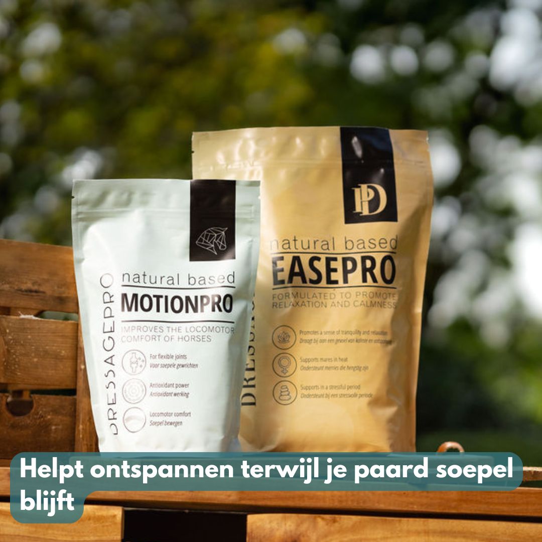 *NEW* Released Bundle: EasePro + MotionPro