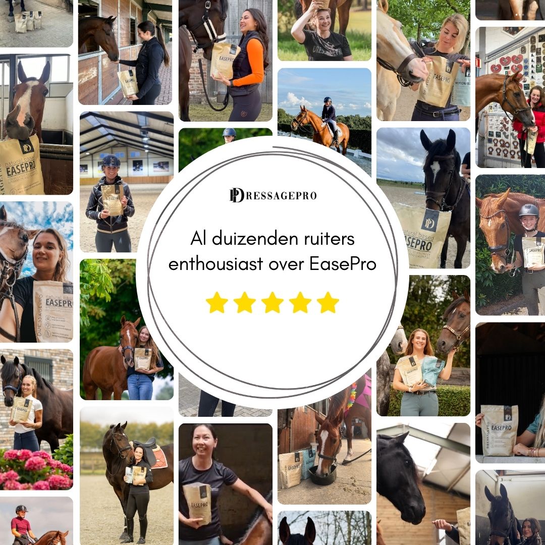 EasePro | Meer ontspanning, minder stress