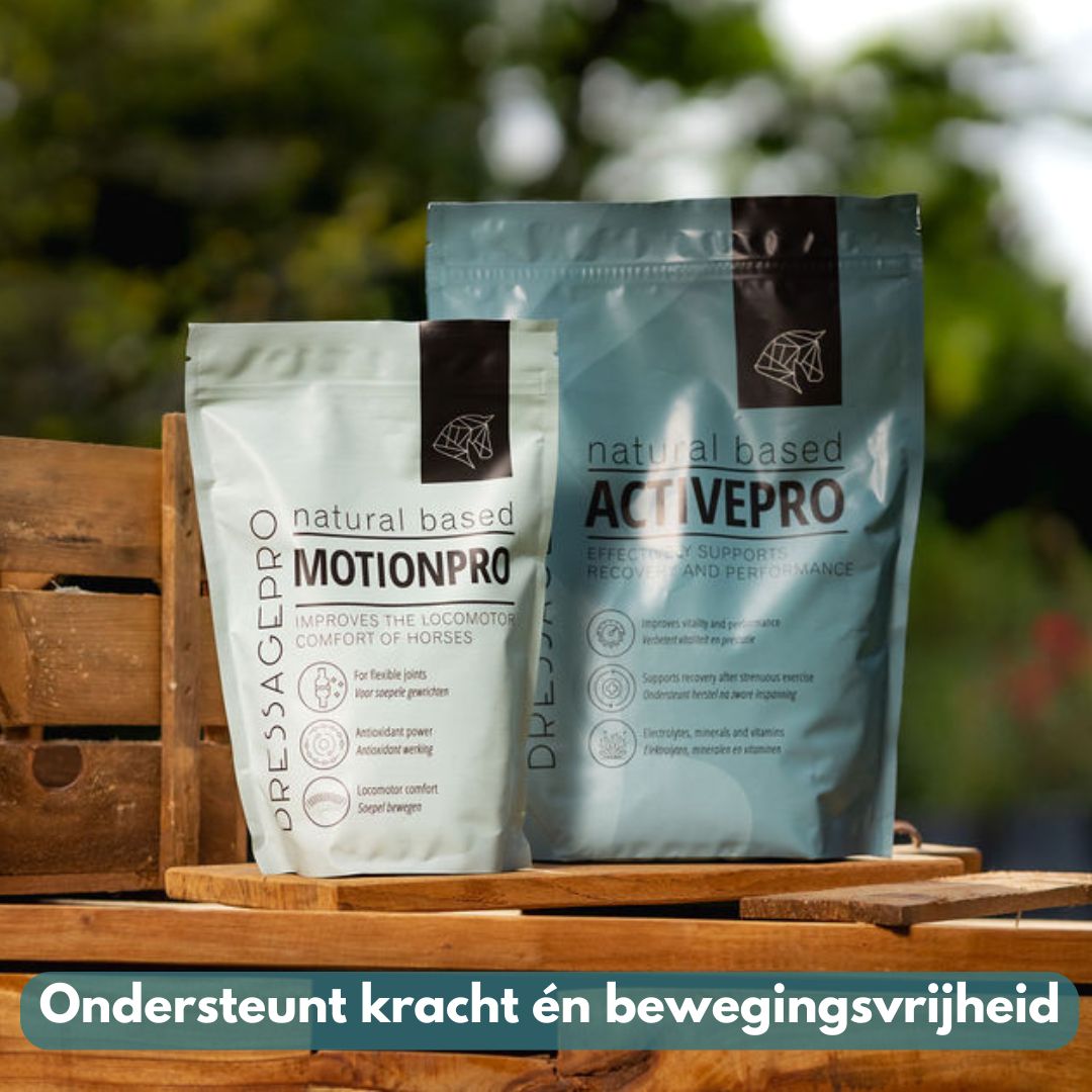 *NEW* Sports Bundle: MotionPro + ActivePro