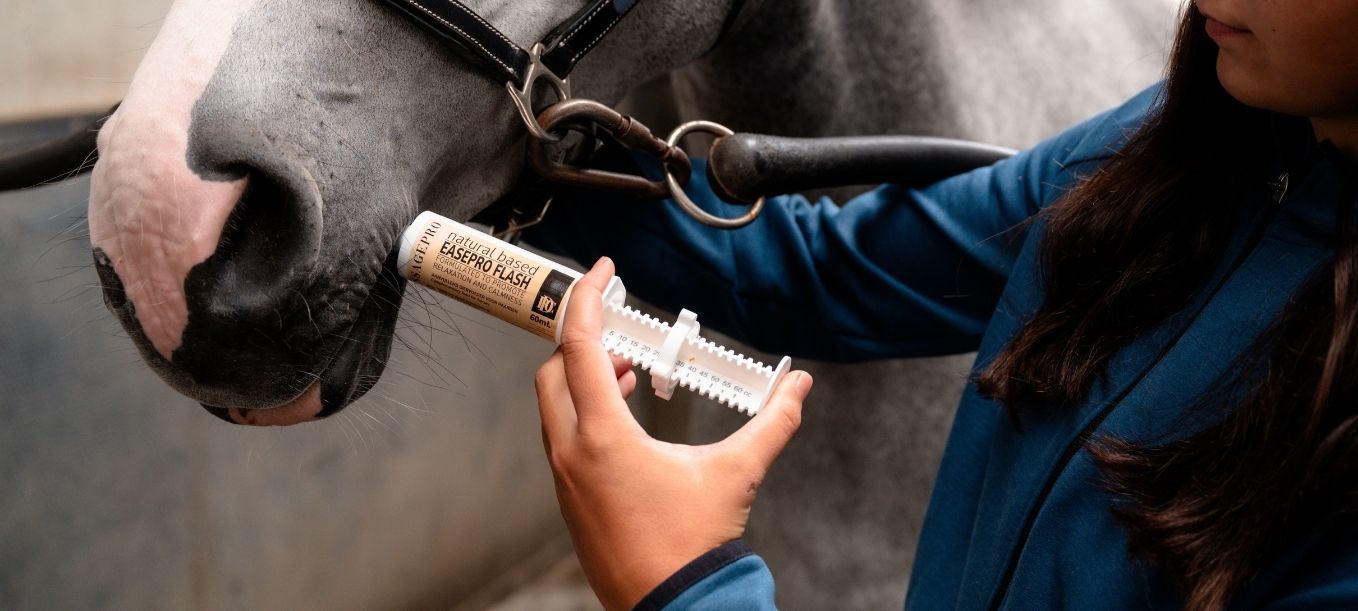 DressagePro Collection