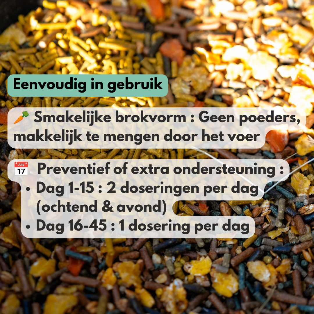 
                  
                    Darm & Weerstand Bundel: ImmuPro + GastriPro
                  
                
