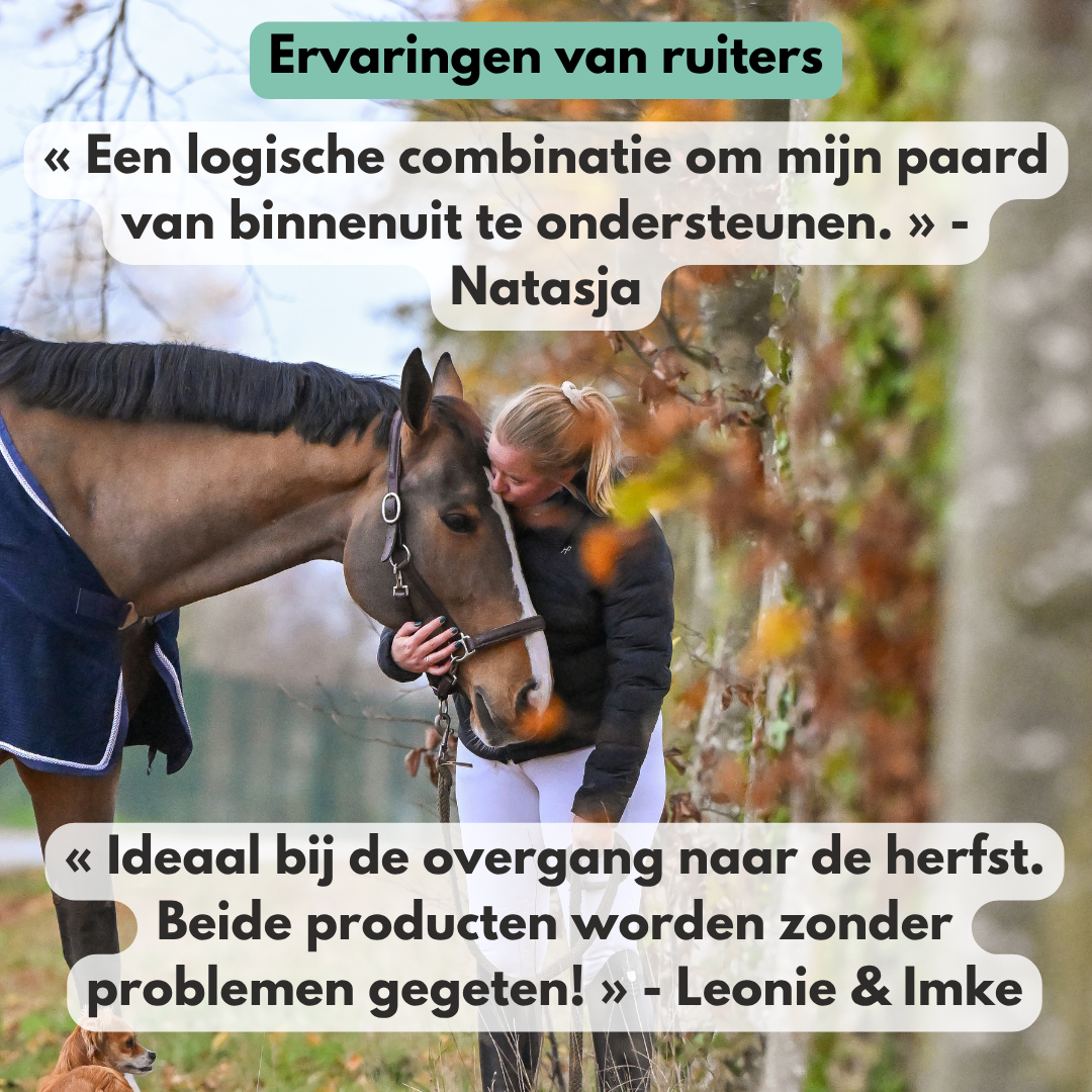 
                  
                    Darm & Weerstand Bundel: ImmuPro + GastriPro
                  
                