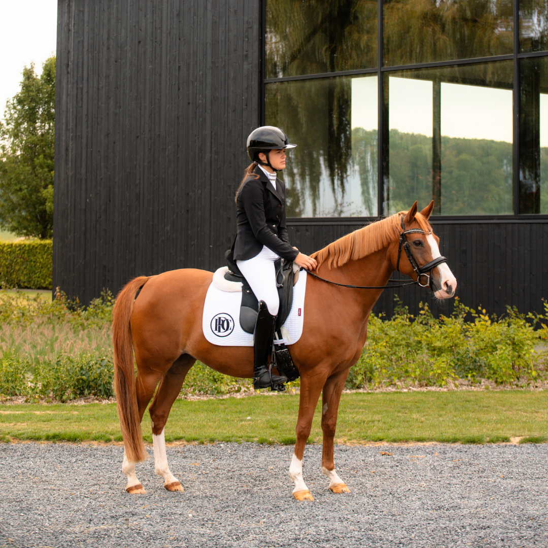 DressagePro Collection