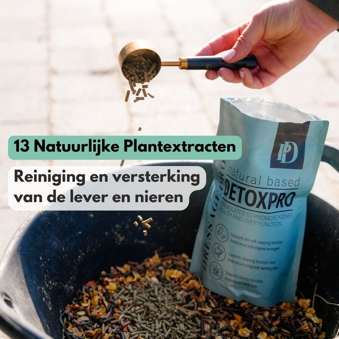 
                  
                    DetoxPro | Ondersteunt lever & afvoer van afvalstoffen [15-daagse kuur]
                  
                