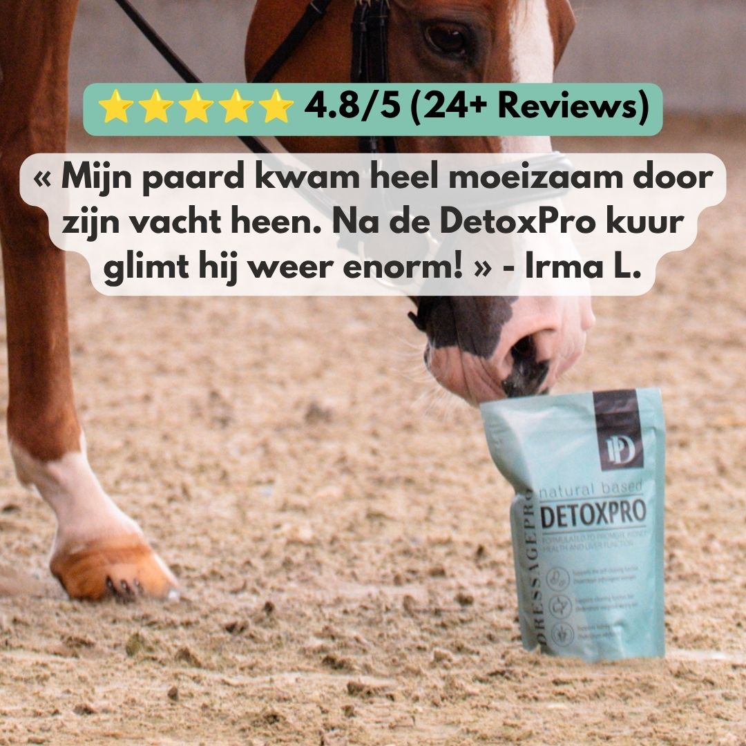 
                  
                    DetoxPro | Ondersteunt lever & afvoer van afvalstoffen [15-daagse kuur]
                  
                
