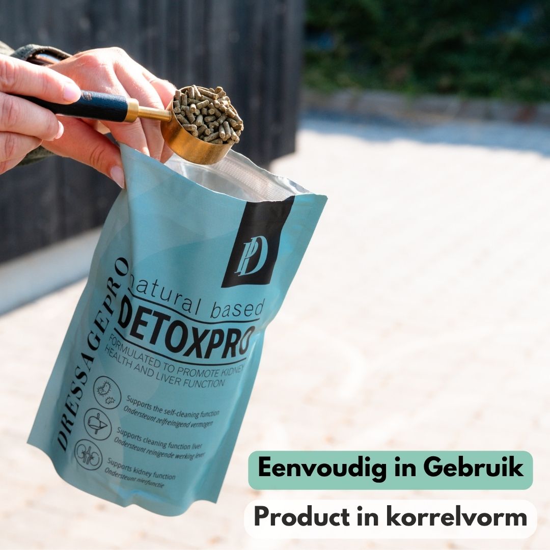 
                  
                    DetoxPro | Ondersteunt lever & afvoer van afvalstoffen [15-daagse kuur]
                  
                