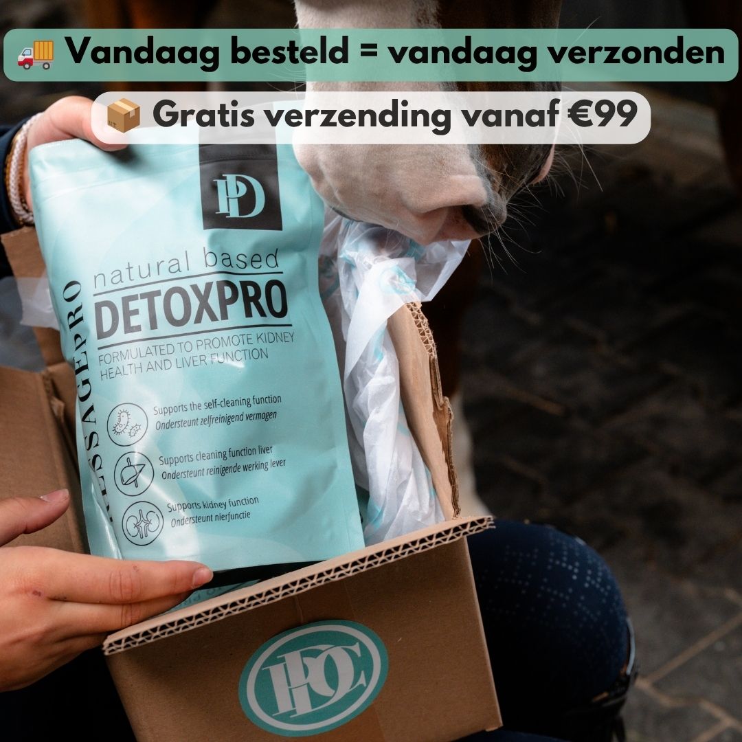
                  
                    DetoxPro | Ondersteunt lever & afvoer van afvalstoffen [15-daagse kuur]
                  
                