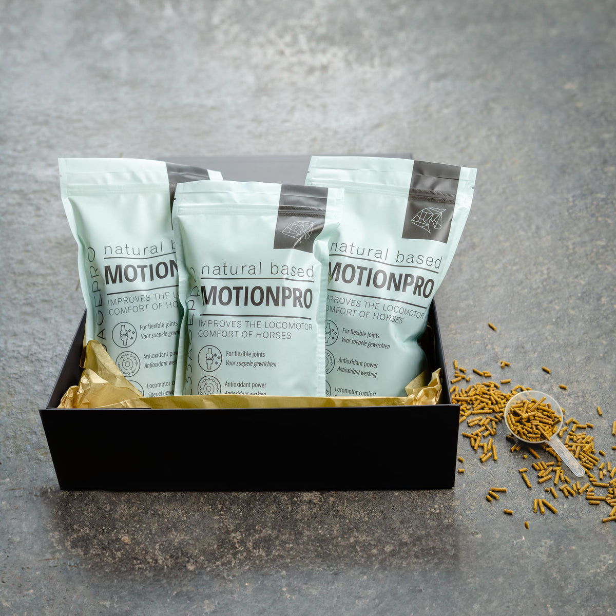 MotionPro Abonnement DressagePro Collection