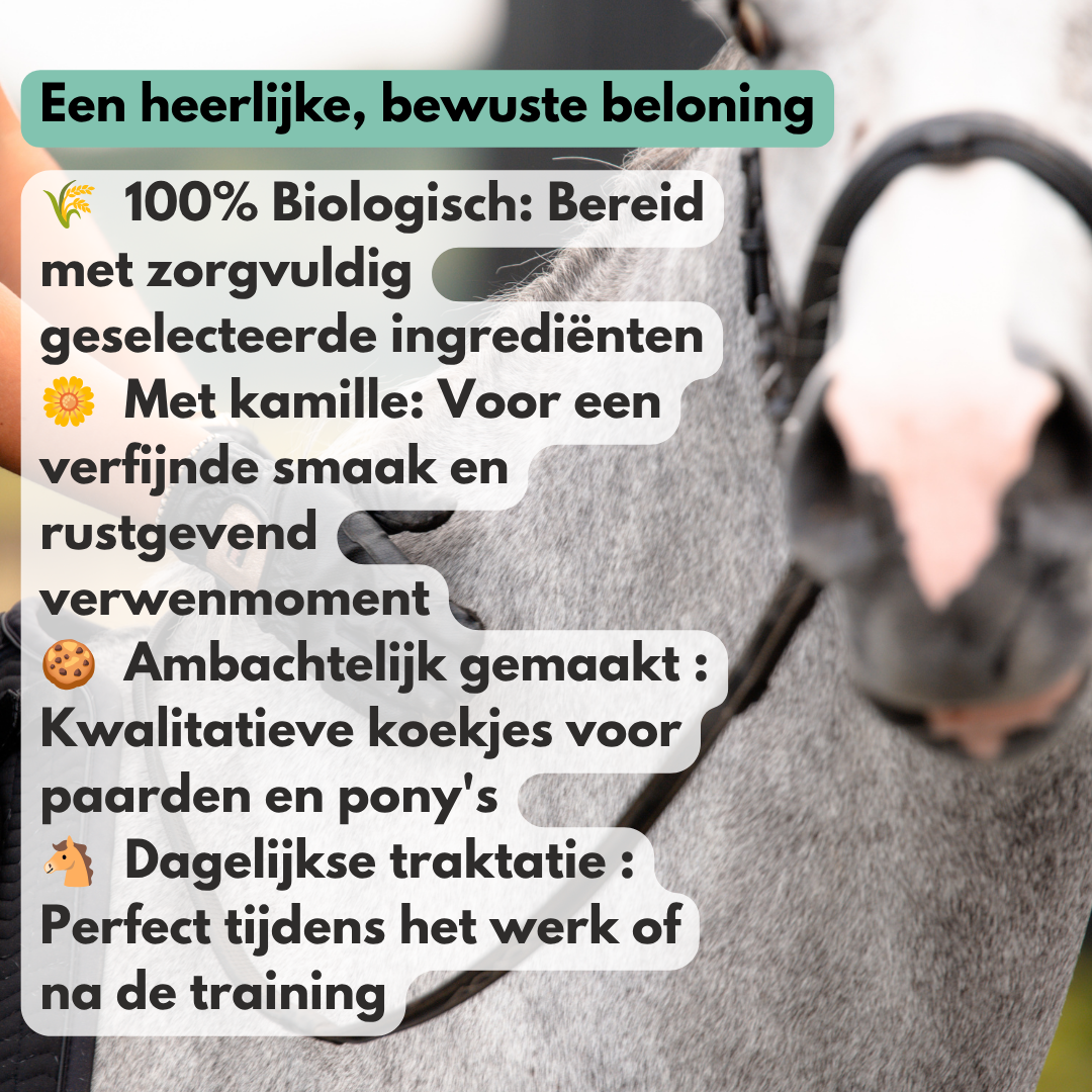 NIEUW!! EasePro CRACKERS - Een kleine traktatie. Een groot verwenmoment.