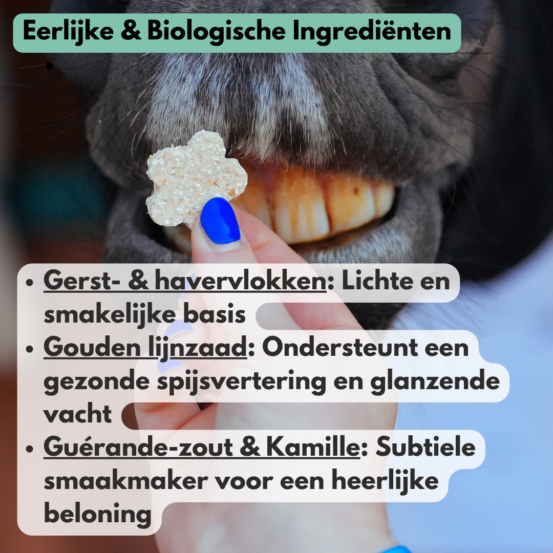 
                  
                    NIEUW!! EasePro CRACKERS - Een kleine traktatie. Een groot verwenmoment.
                  
                