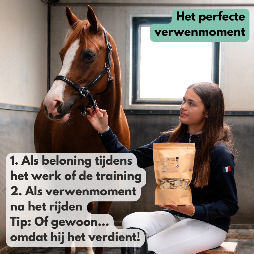 
                  
                    NIEUW!! EasePro CRACKERS - Een kleine traktatie. Een groot verwenmoment.
                  
                