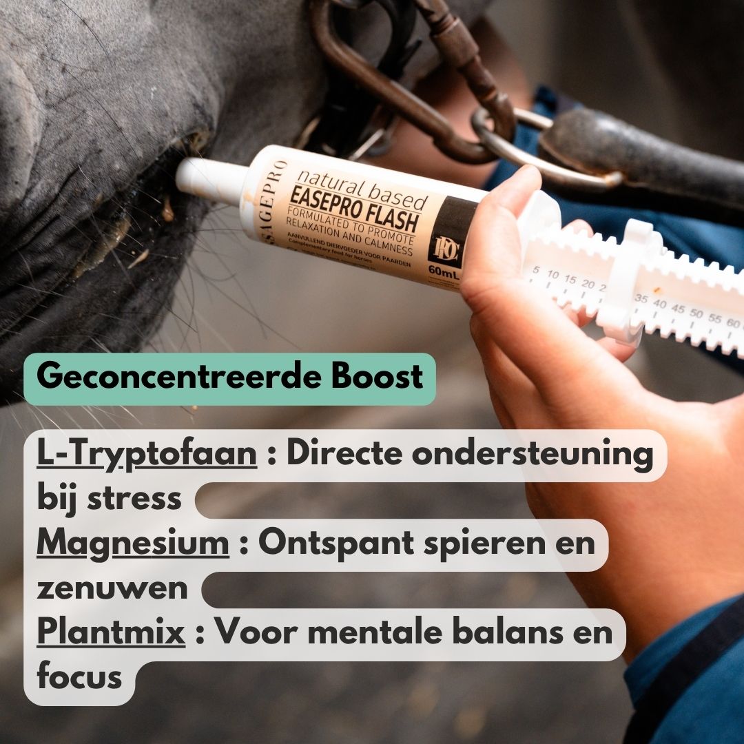 
                  
                    NIEUW!!! EasePro FLASH – Set van 3 spuiten
                  
                