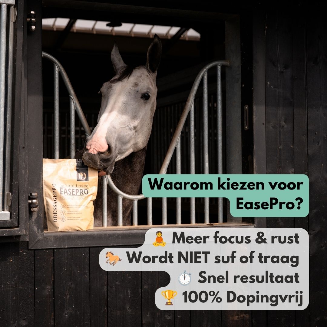 
                  
                    EasePro | Meer ontspanning, minder stress
                  
                