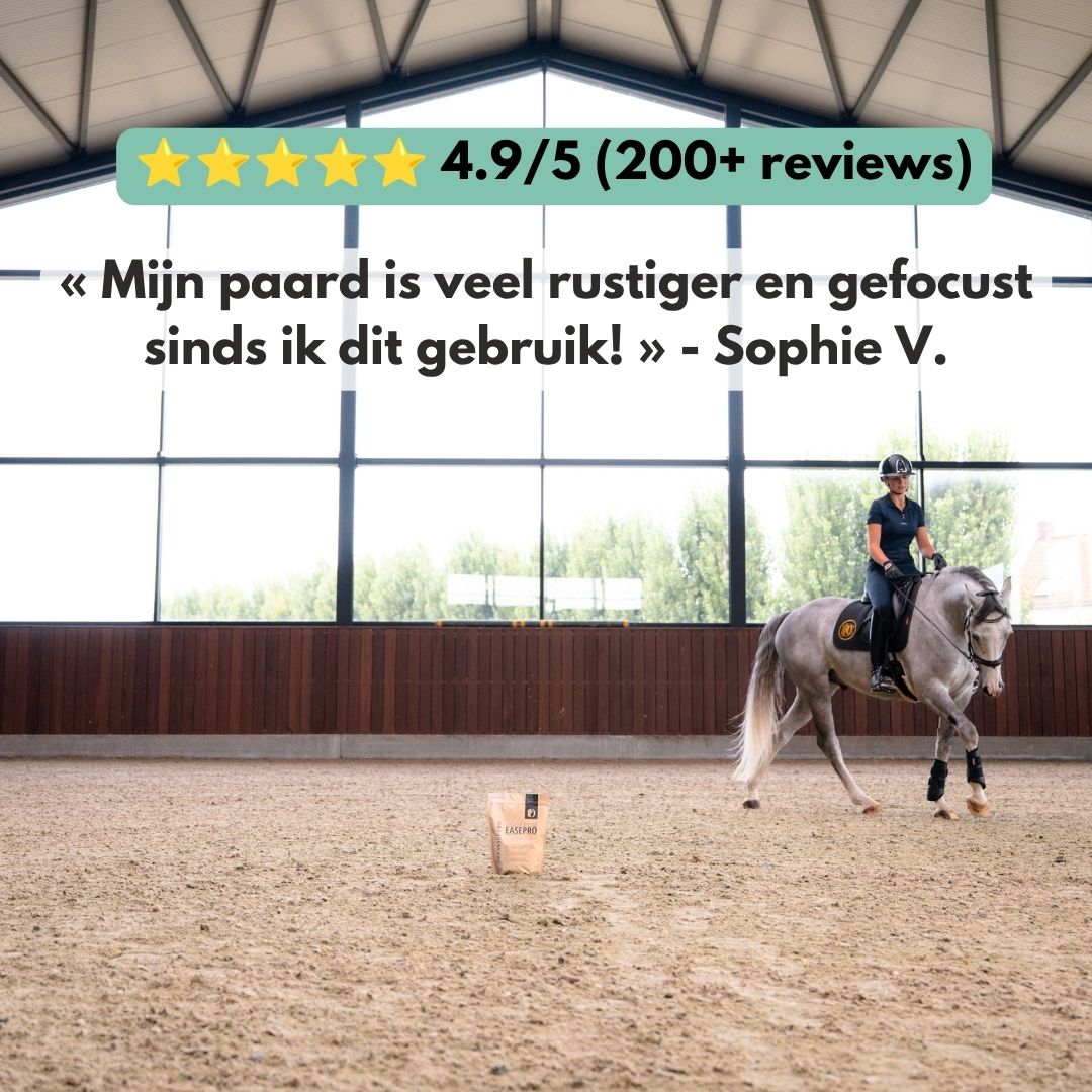 
                  
                    EasePro | Meer ontspanning, minder stress
                  
                