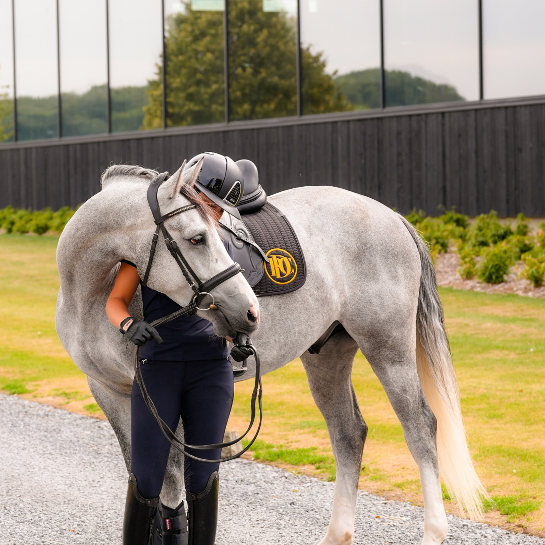 DressagePro Collection