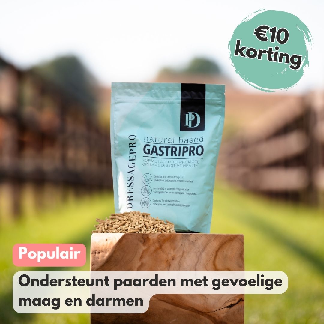 GastriPro | Voor gezonde maag en darmen.