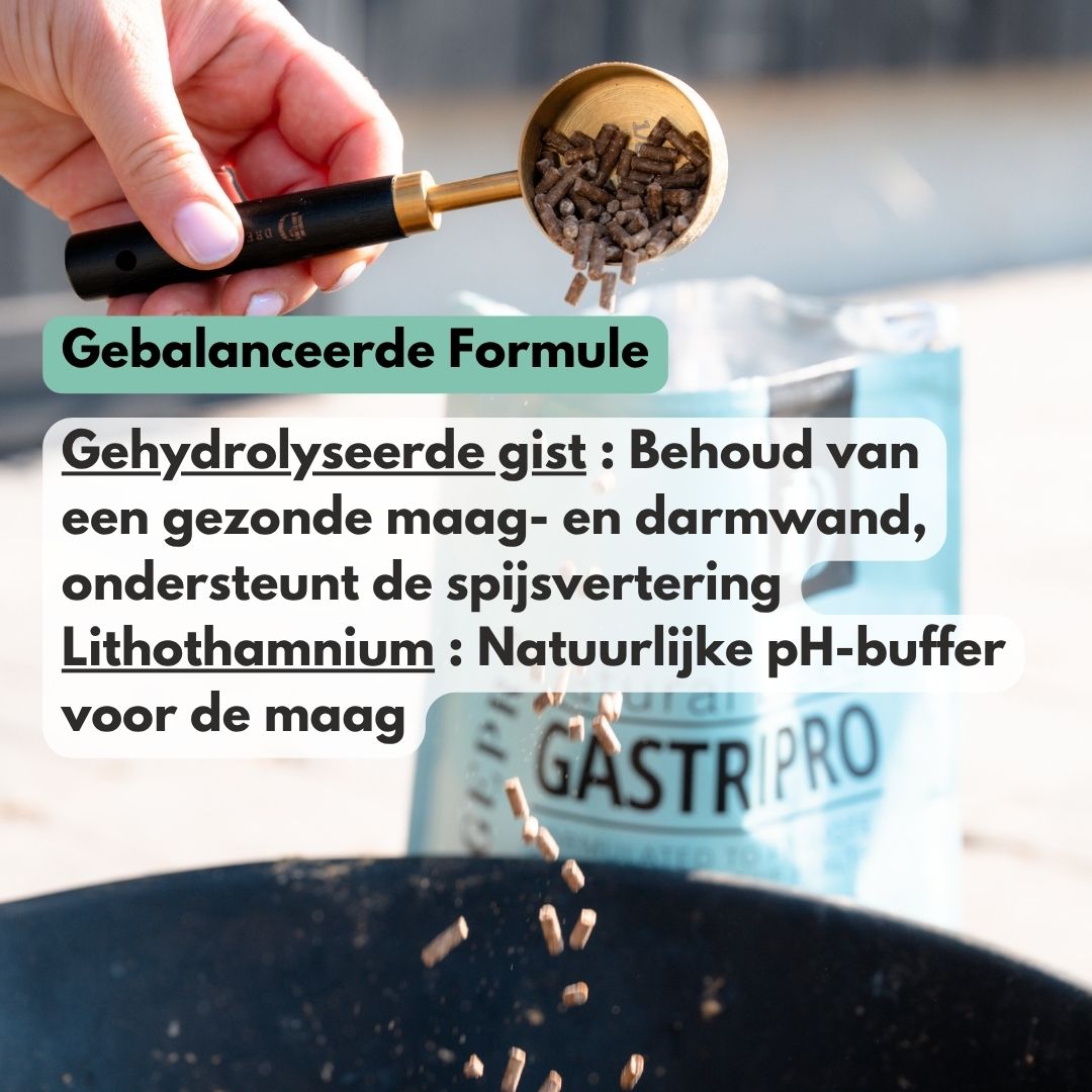 
                  
                    GastriPro | Voor gezonde maag en darmen.
                  
                