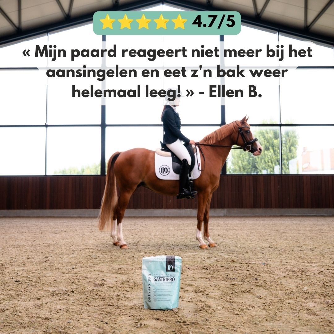 
                  
                    GastriPro | Voor gezonde maag en darmen.
                  
                