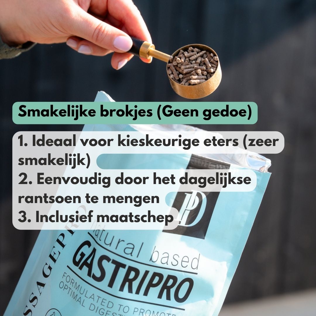 
                  
                    GastriPro | Voor gezonde maag en darmen.
                  
                