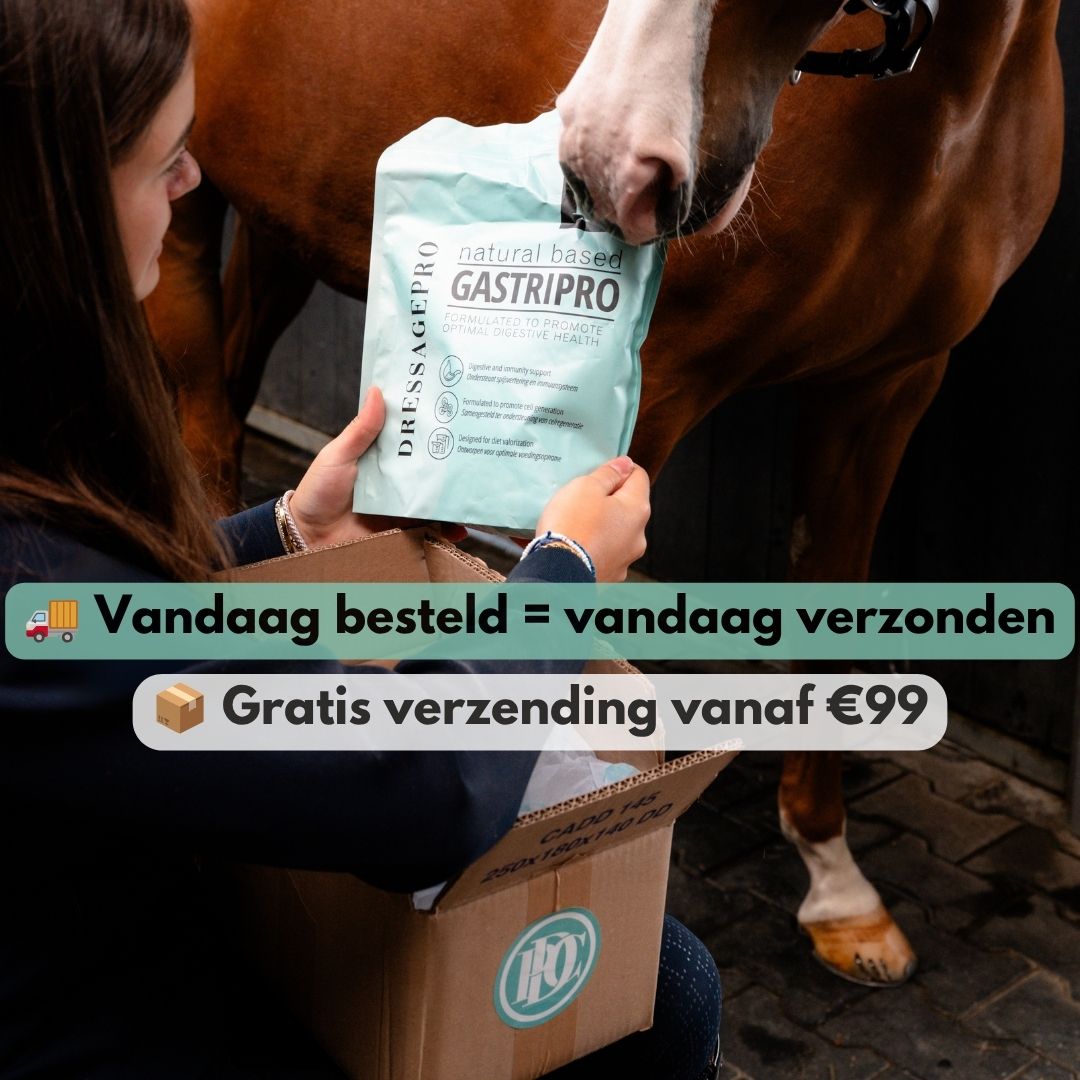 GastriPro | Voor gezonde maag en darmen.