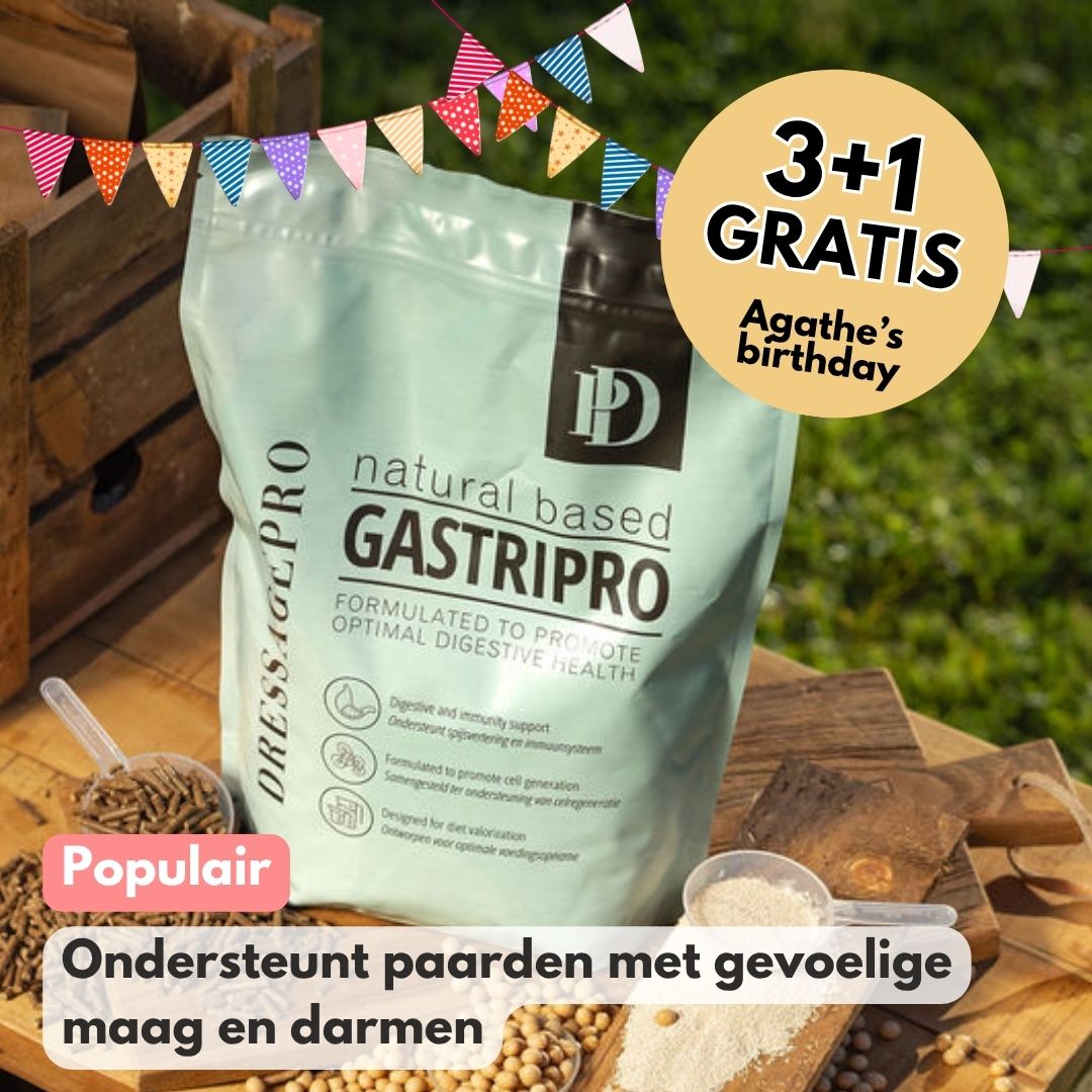 
                  
                    GastriPro | Voor gezonde maag en darmen.
                  
                