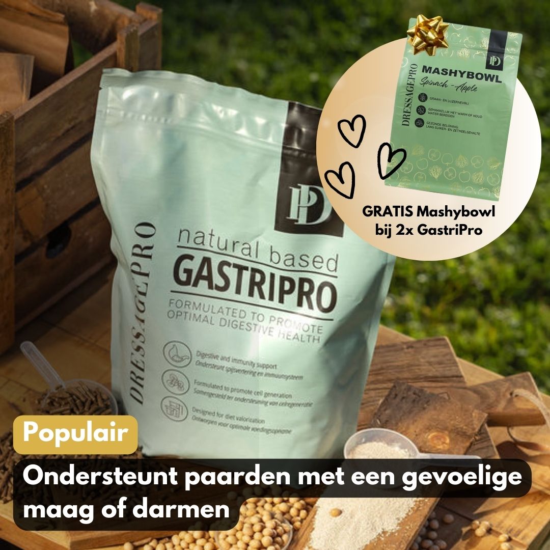 GastriPro | Voor gezonde maag en darmen.