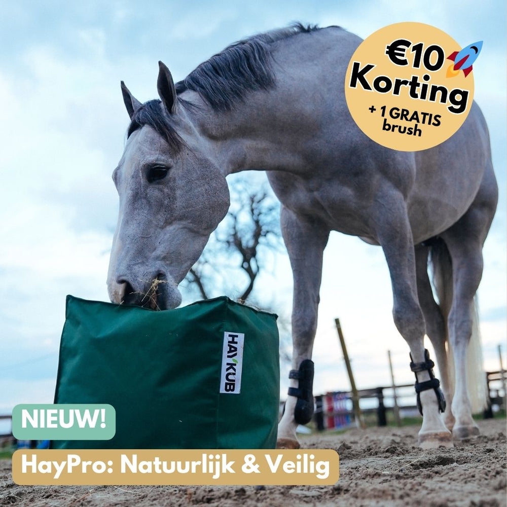 NIEUW! HayPro, de innovatieve slowfeeder hooizak – DressagePro Collection