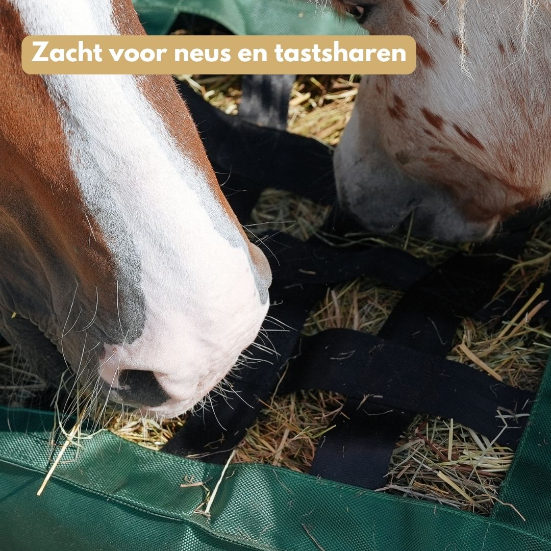 
                  
                    NIEUW! HayPro, de innovatieve slowfeeder hooizak
                  
                