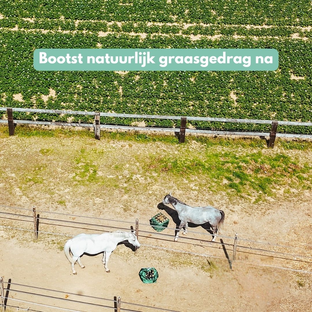 
                  
                    NIEUW! HayPro, de innovatieve slowfeeder hooizak
                  
                
