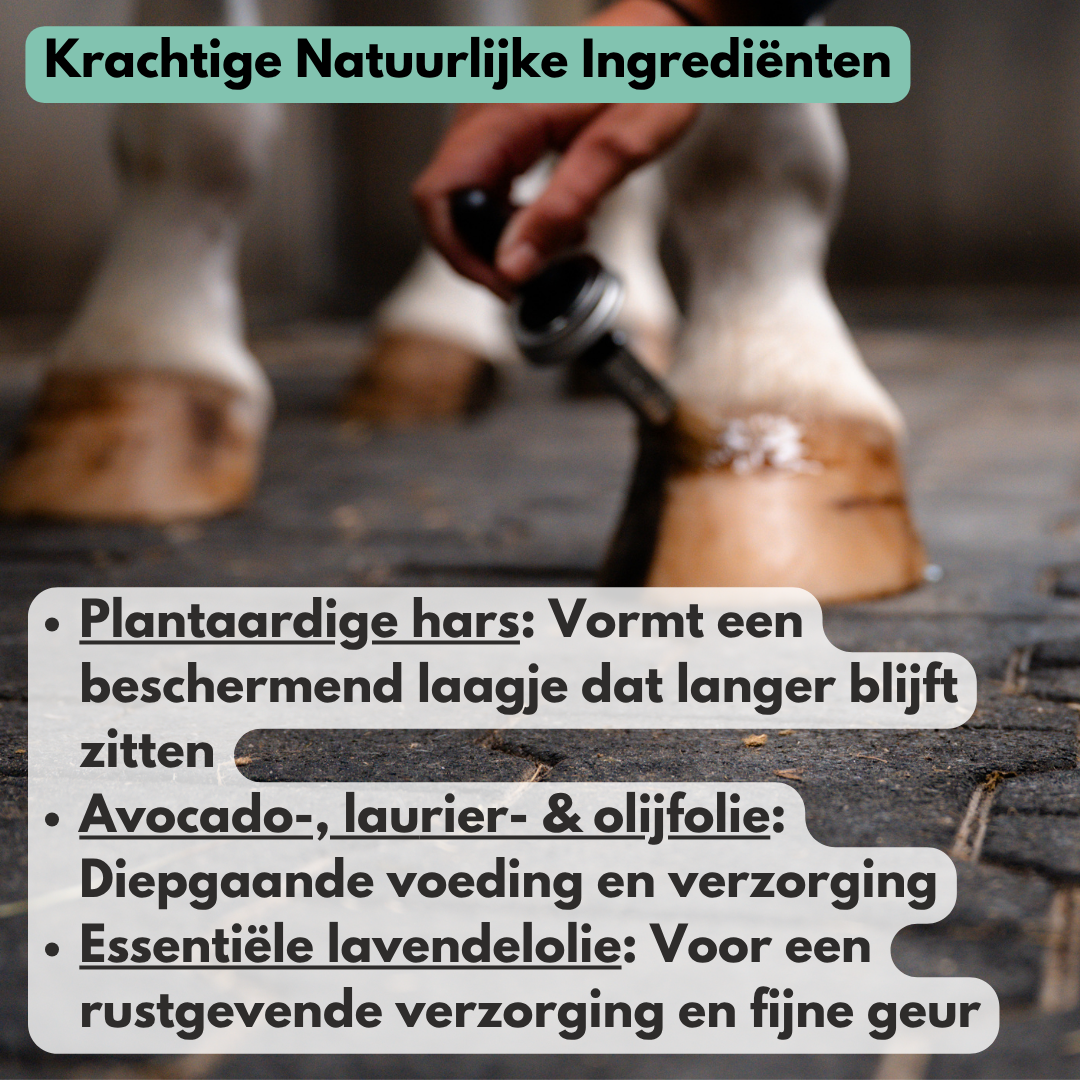 
                  
                    NIEUW!! HoofPro - Schoonheid begint bij de basis
                  
                