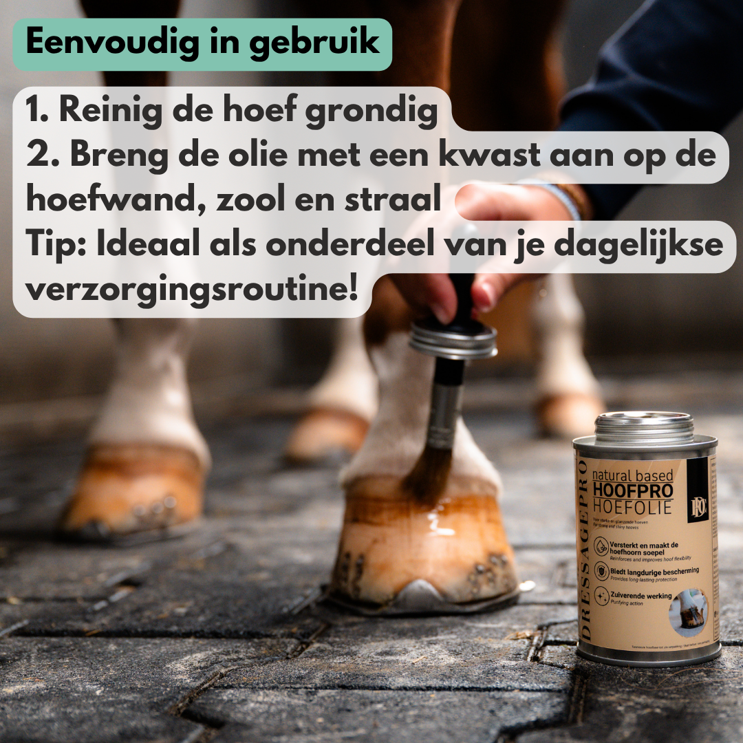 
                  
                    NIEUW!! HoofPro - Schoonheid begint bij de basis
                  
                